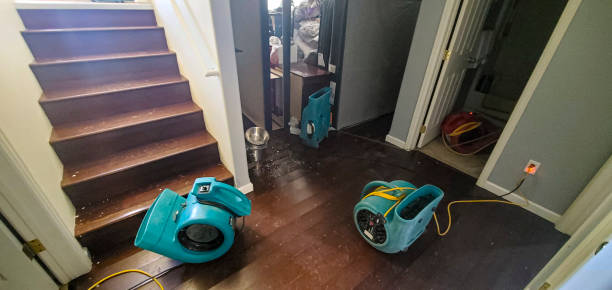 Best Flooded house restoration  in Harrington, DE