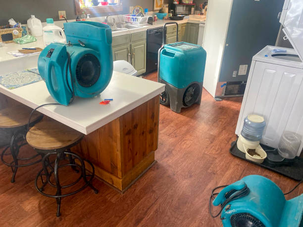Best Water damage restoration near me  in Harrington, DE