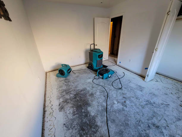 Best Flood restoration services  in Harrington, DE