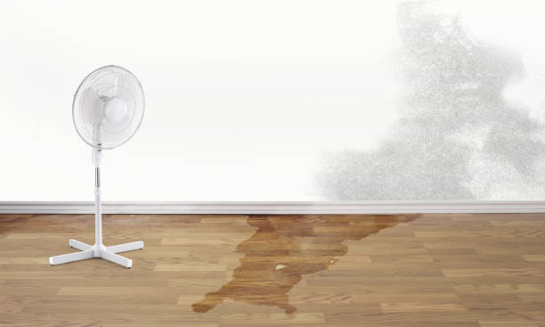 Best Fire Damage Restoration  in Harrington, DE