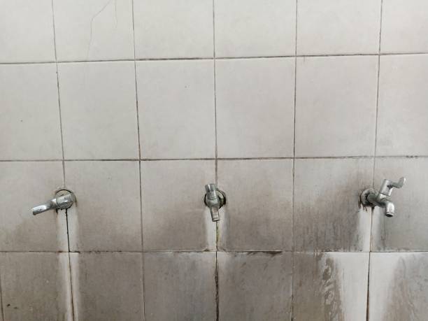 Best Emergency water damage restoration  in Harrington, DE