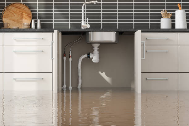 Best Flood damage cleanup  in Harrington, DE