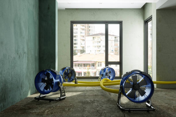 Best Sewage cleanup and water damage restoration  in Harrington, DE