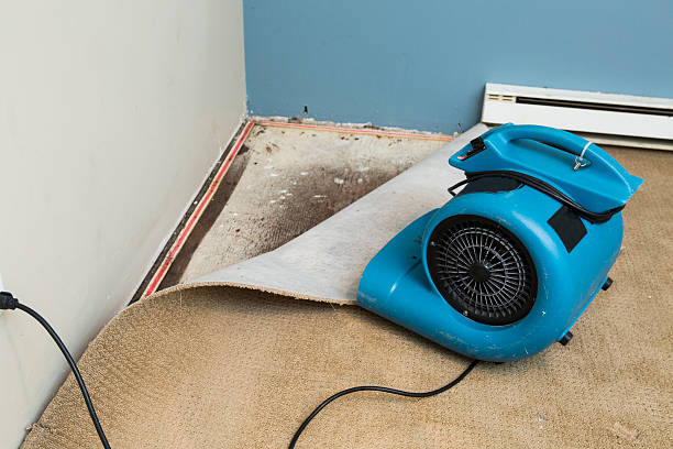Fire Damage Restoration in DE